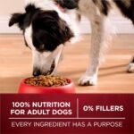 Purina ONE True Instinct Dry Dog Food, Real Turkey & Venison, 15 lb Bag - Image 7