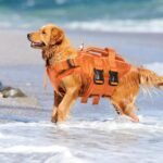 Kuoser Dog Life Jacket, High Flotation Reflective Dog Life Vest, Orange, L - Image 8