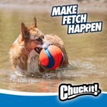 Chuckit! Kick Fetch Ball Dog Toy, Large, 8in, for Large Dogs, Floats - Image 7