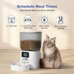 ANDOLL HOME Automatic Cat Feeder, Timed Cat＆Dog Dry Food Dispenser - Image 2