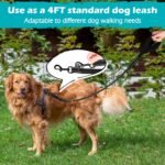 PetBonus Two Point Control Dog Leash, No Tangle Training Walking Leashes - Image 5