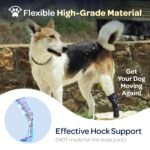 Labra Dog Rear Leg Hock Joint Compression Wrap - Supportive Brace for Weak Back Legs, ACL Tear, and Joint Discomfort - Adjustable Hind Leg Support for Senior Dogs - Medium - Image 4