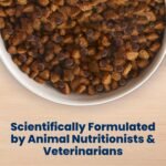 Blue Buffalo Life Protection Formula Beef Senior 7+ Dry Dog Food, 5 lb - Image 7