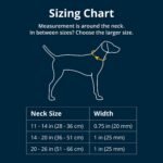 Ruffwear, Front Range Dog Collar, River Rock Green, 14"-20" - Image 2