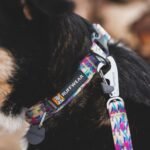 Ruffwear, Front Range Dog Collar, River Rock Green, 14"-20" - Image 4