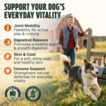 Dog Vitamins and Supplements 250 Chews - 26 in 1 Dog Multivitamin Soft Chews with Glucosamine, Chondroitin, Probiotics, Omega 3 - Hip & Joint, Skin & Coat, Immune Support - Chicken Flavor - Image 4
