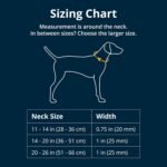 Ruffwear, Crag Dog Collar, Rising Wave, 14"-20" - Image 2