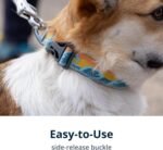 Ruffwear, Crag Dog Collar, Rising Wave, 14"-20" - Image 4