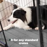 BALANCE Dog Crate Pad, Dog Foam Crate Mat Kennel Pad, Washable Water-Resistant Pet Bed Flat Dogs Cage Mat for Small Dogs - Image 4
