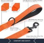 Plutus Pet Double Handle Dog Leash, 6 FT Long, for Medium Large Dogs - Image 4