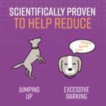 Sentry Pet Care Stop that! Behavior Correction Spray for Dogs - Image 3