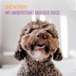 Sentry Pet Care Stop that! Behavior Correction Spray for Dogs - Image 4