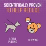 Sentry Pet Care Stop that! Behavior Correction Spray for Dogs - Image 5