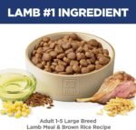 Hill's Science Diet Large Breed Recipe Dry Dog Food - Image 3