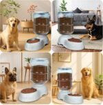 Kenond 11L Gravity Automatic Dog Feeder, Dog Food Dispenser for Large Breed - Image 3