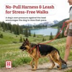 Harness Lead Escape Resistant, Reduces Pull Dog Harness, Medium/Large, Black - Image 2