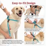 Harness Lead Escape Resistant, Reduces Pull Dog Harness, Medium/Large, Black - Image 3