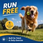 INSUM Tennis Balls for Dogs, 12 Pack Colorful Dog Toys Balls - Image 3