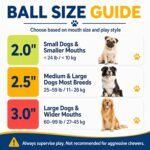 INSUM Tennis Balls for Dogs, 12 Pack Colorful Dog Toys Balls - Image 4