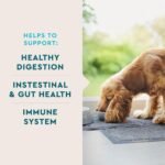 VetIQ Probiotic Supplement for Dogs, Gut & Bowel Support, 60 Count - Image 3