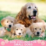 3 Pack Dog Collar and Leash Set, Puppy Collar and Leash (Green,Pink,Yellow) - Image 5