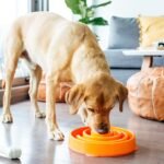 Outward Hound Fun Feeder Slo Bowl Dog Slow Feeder, Swirl, Orange, 11.8" - Image 6