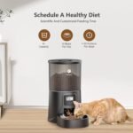 PETULTRA Automatic Cat Feeder: 4L Timed Cats Food Dispenser Programmable - Image 3