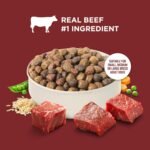 Nutrish Dry Dog Food, Beef, Pea & Brown Rice, 40 lb. Bag (Rachael Ray) - Image 4
