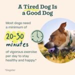 WOOF Walkabout Dog Puzzle Slow Feeder Toy for Dogs Under 40 lbs - Image 3