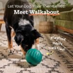 WOOF Walkabout Dog Puzzle Slow Feeder Toy for Dogs Under 40 lbs - Image 4