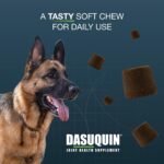 Nutramax Dasuquin MSM Joint Supplement for Large Dogs, Soft Chews, 84ct - Image 5