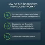 Nutramax Dasuquin MSM Joint Supplement for Large Dogs, Soft Chews, 84ct - Image 7
