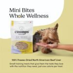 Freeze-Dried Beef Liver Mini Trainers 1.8 oz - Image 3