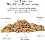 Freeze-Dried Beef Liver Mini Trainers 1.8 oz - Image 5