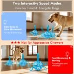 Interactive Dog Toys Dog Soccer Ball to Keep Them Busy(Blue) - Image 2