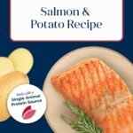 Blue Buffalo Basics Salmon Adult Skin & Stomach Care Dry Dog Food, 24 lb - Image 4