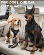 Joytale 3-in-1 Bungee Dog Seat Belt for Car, Medium and Large Dogs, Black - Image 4