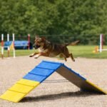 Dog Agility A Frame for Large Dogs, 82” x 23” Dog Agility Course Backyard Set, Dog Agility Equipment Outdoor for Jumping Climbing - Image 5