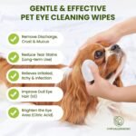 PawSono Dog Eye Wipes for Dogs and Cats, Unscented, 100 Count - Image 3