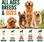 Flea and Tick Prevention for Dogs Pills - 170 Soft Chewables - Oral Defense - Image 7