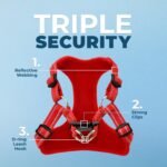 Voyager Step-in Flex Adjustable Dog Harness - Red, Medium - Image 2