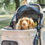 Carlson Pet Products Stroller, Includes 360 Degree Front Wheel Swivel, Rear Wheel Breaks, Reflective Trim, Mesh Panels, Umbrella and Mesh Canopy, Khaki - Image 5