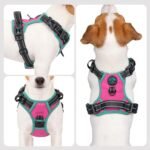 PHOEPET Upgraded No Pull Dog Harness, Reflective Adjustable Vest - Image 2