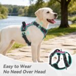 PHOEPET Upgraded No Pull Dog Harness, Reflective Adjustable Vest - Image 3