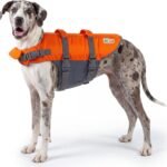 Outward Hound Granby Splash Dog Life Jacket, Life Vest, Orange, XL