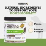 WINPRO Hip & Joint Supplement for Dogs - Plasma Powered Soft Chews for Joint Health & Mobility – Fast-Acting with Collagen & Natural Ingredients for Dogs of All Breeds – 60 Chews - Image 3