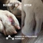 Vetericyn Plus Hydrogel Spray for Dogs, Wound & Skin Care Gel, 3 oz - Image 4