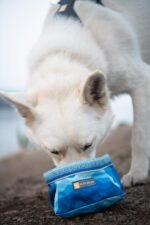 Ruffwear, Quencher Collapsible Dog Bowl, Coastal Mountains, Medium - Image 3