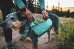 Ruffwear, Quencher Collapsible Dog Bowl, Coastal Mountains, Medium - Image 4
