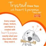 Nylabone Puppy Chew Pink Textured Teething Dog Bone, X-Small - Image 8